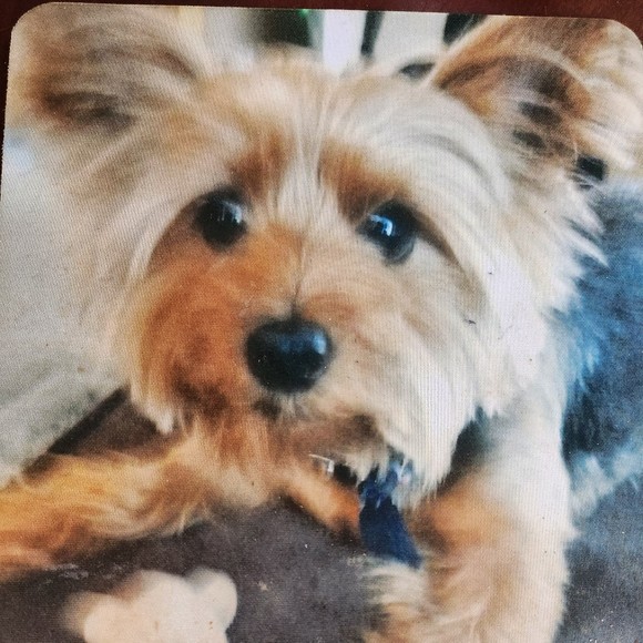 Meet your Posher, Theresa - Picture 1 of 1